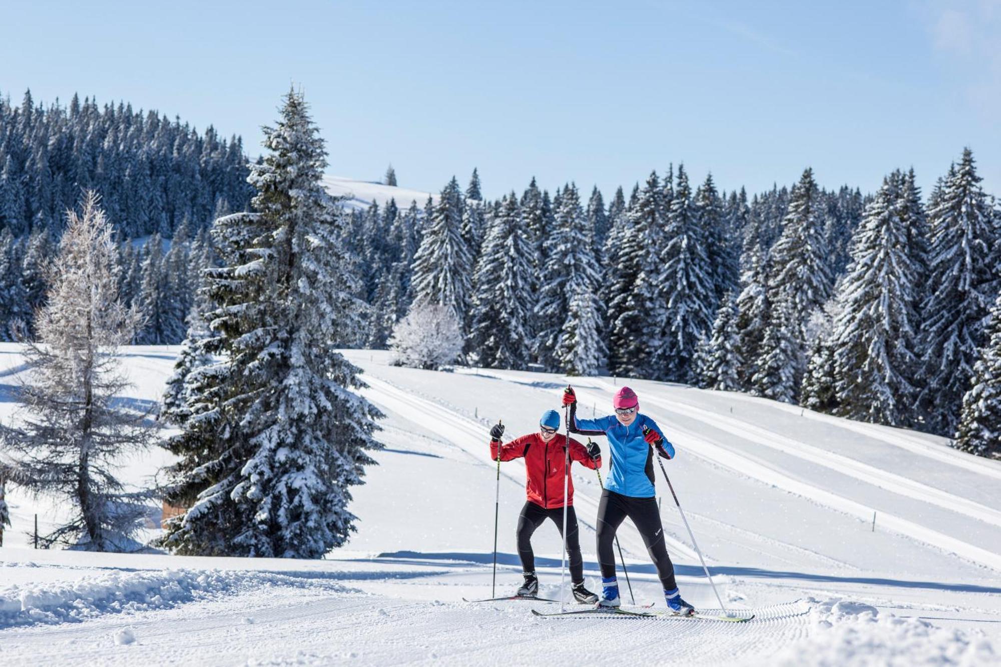 Appartement Schneelehner, 2-schlafzimmer, Feldberg *